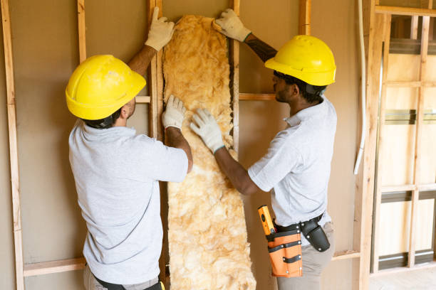 Best Attic Insulation Installation in Muse, PA