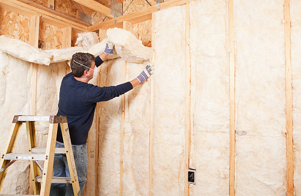 Best Insulation for New Construction in Muse, PA